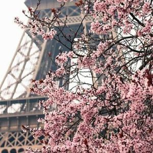 Meet your Posher, Vicky